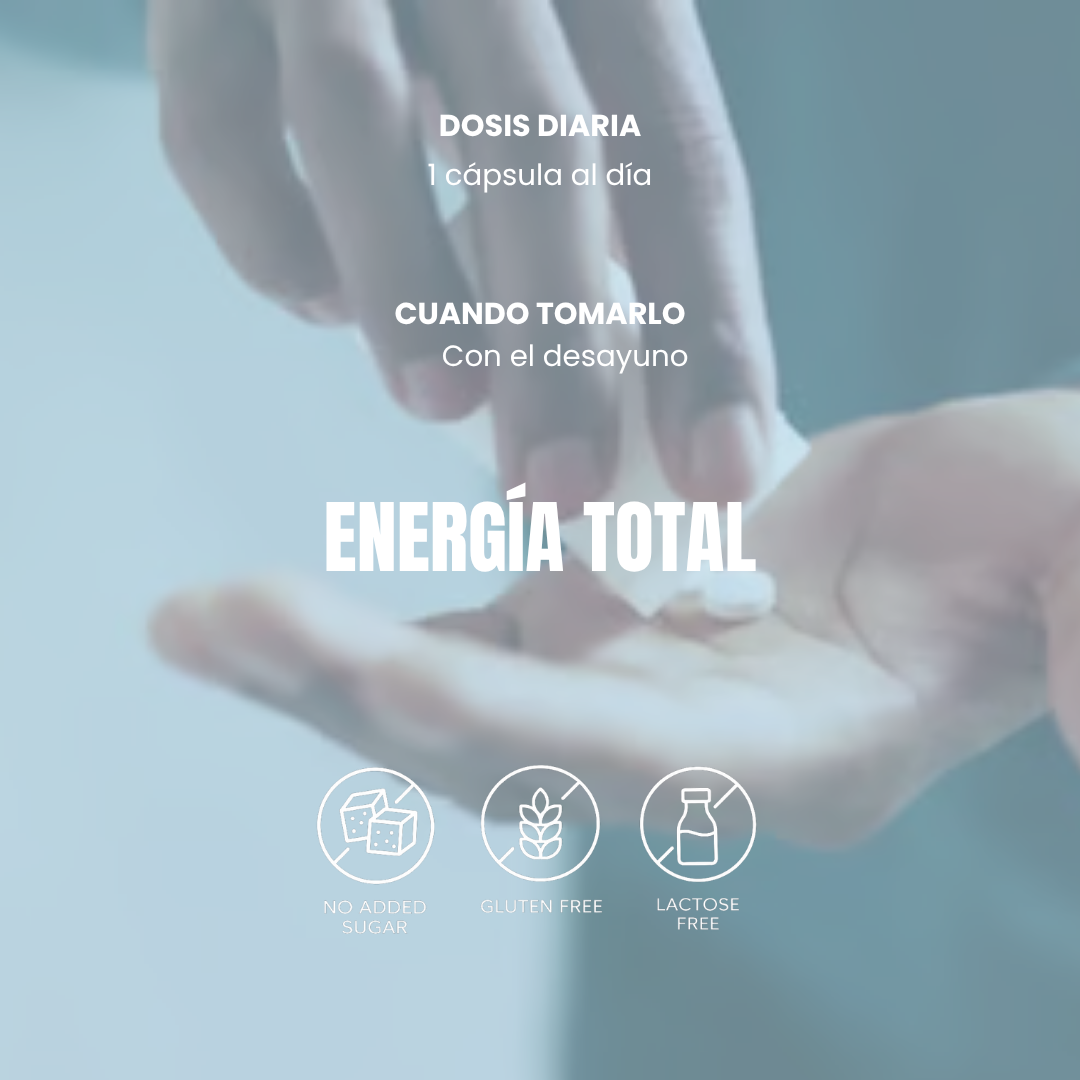 OMNIVIT™  | Complejo Multivitamínico experto para tu día a día