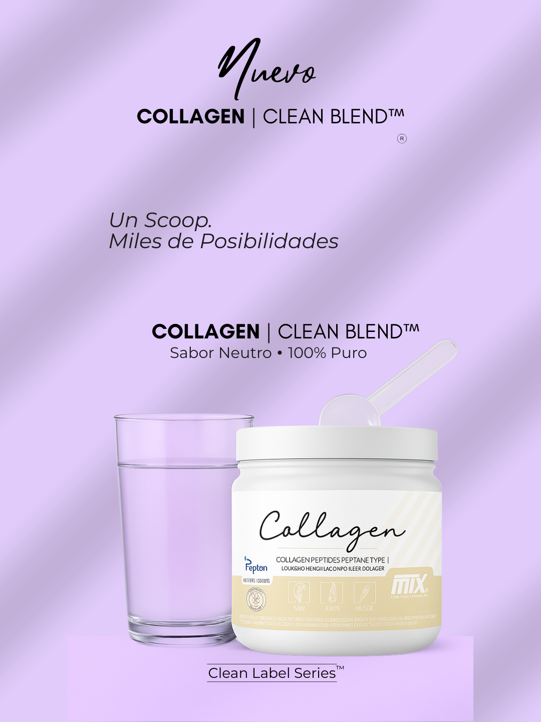 COLLAGEN™ (PEPTAN BOVINO) | CLEAN BLEND - 300 g | 30 dosis 🔬 Sabor: Neutro OFERTA 8+2