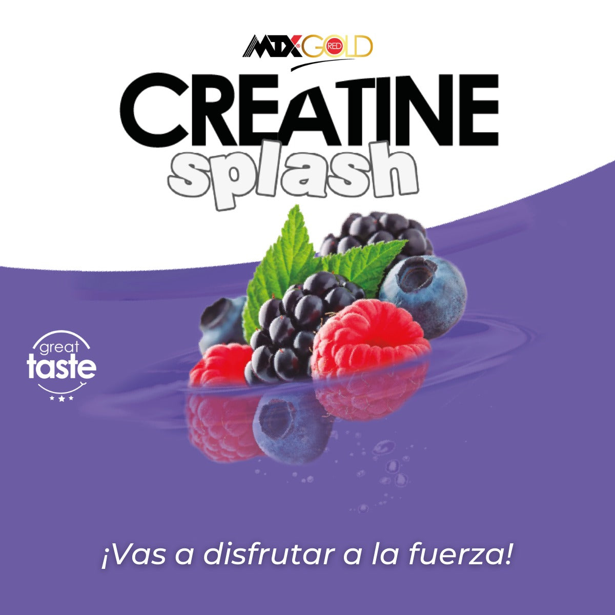 CREATINE Splash (OFERTA 8+1) [300G] (PVP: (unidad) 26,9€)